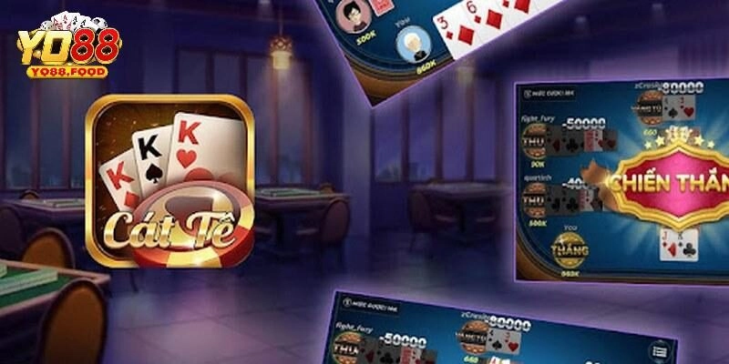 Bật mí các mẹo cược catte Yo88 