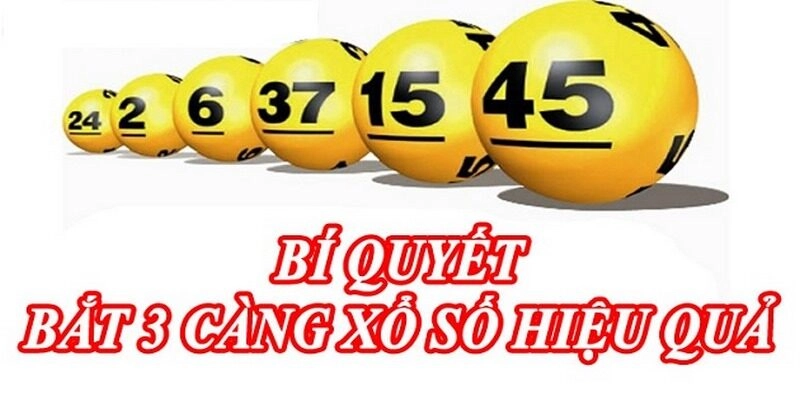 Vài nét về đánh đề 3 càng cho người mới