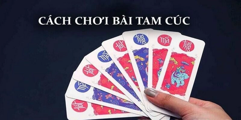 Cách chơi game bài Tam Cúc cho người mới nhập môn