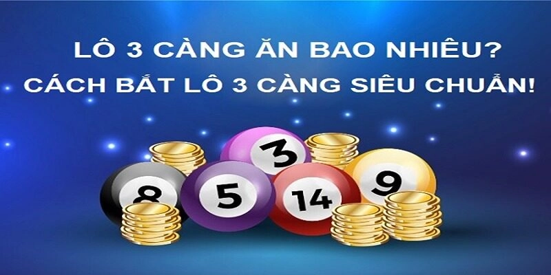 Chỉ Ra Những Lưu Ý Khi Đánh Lô Ba Càng Tại Cổng Game Yo88 tim hieu ve luu y khi danh lo ba cang