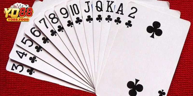 Hướng Dẫn Chơi Tú Lơ Khơ – Cách Đánh Bại Đối Thủ Dễ Dàng Hướng Dẫn Chơi Tú Lơ Khơ – Cách Đánh Bại Đối Thủ Dễ Dàng