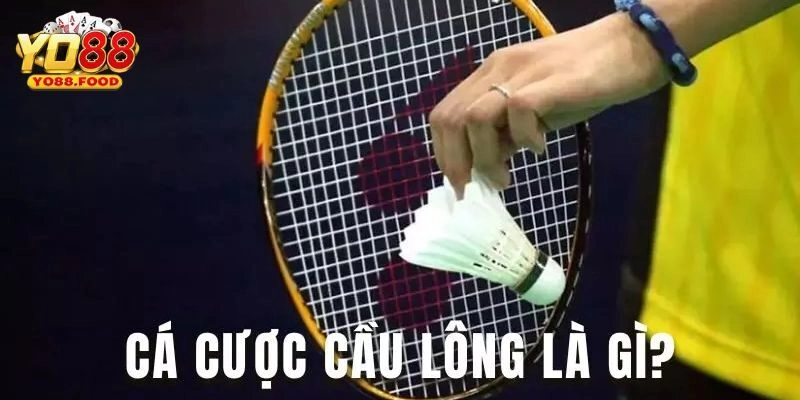 Giới thiệu về cá cược cầu lông tại Yo88